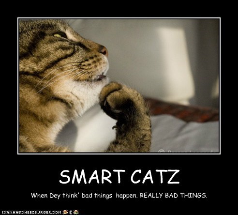 SMART CATZ