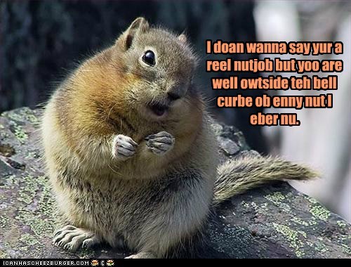 When the Squirrels Start Talking, You Should Listen to What They Say