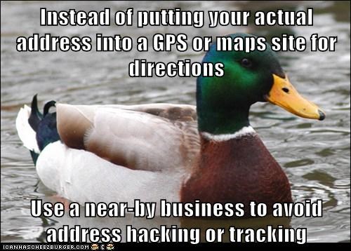 Actually Paranoid Advice Mallard