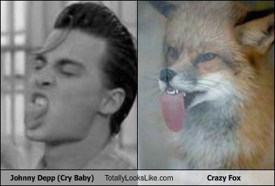 Johnny Depp (Cry Baby) Totally Looks Like Crazy Fox