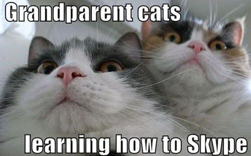 You Know What These Cats Look Like?...