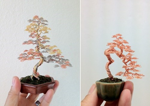 Bonsai Art WIN
