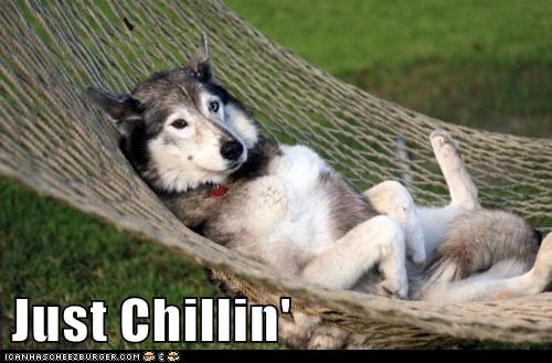 Just Chillin'