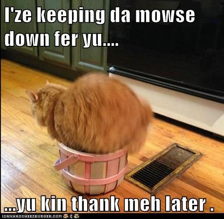 I'ze keeping da mowse down fer yu....  ...yu kin thank meh later .