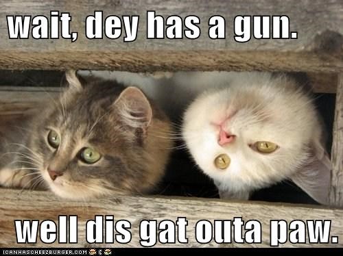 wait, dey has a gun.  well dis gat outa paw.