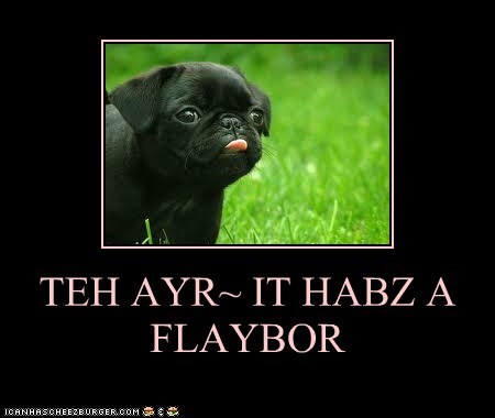 TEH AYR~ IT HABZ A FLAYBOR