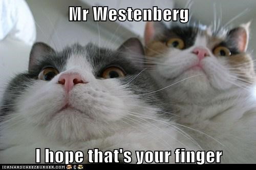 Mr Westenberg  I hope that's your finger