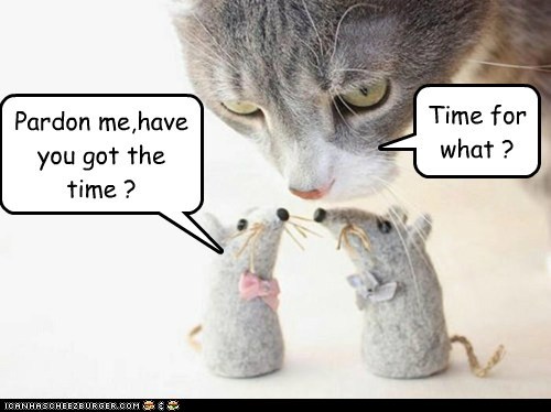 Pardon me,have you got the time ?