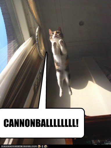 Flying Kitty Prepares to Make a Splash!