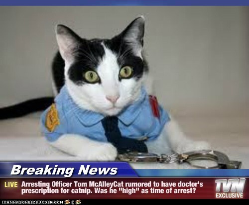 Breaking News - Arresting Officer Tom McAlleyCat rumored to have doctor's prescription for catnip. Was he "high" as time of arrest?