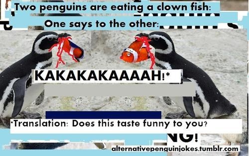 Ever Wanted to Speak Penguin? Here's Your Chance.