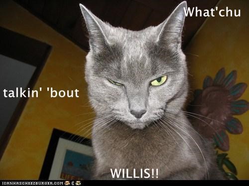 What'chu talkin' 'bout                          WILLIS!!