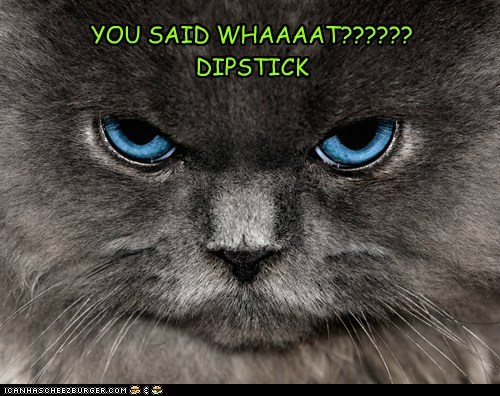 Meh dipstick owner...