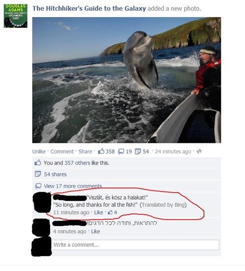 Translation WIN