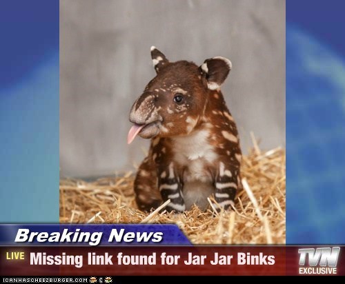 Breaking News - Missing link found for Jar Jar Binks