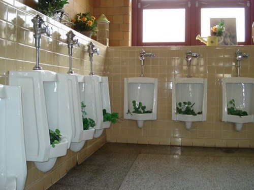 All Natural Bathroom