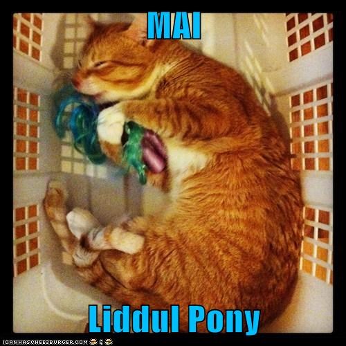 MAI  Liddul Pony