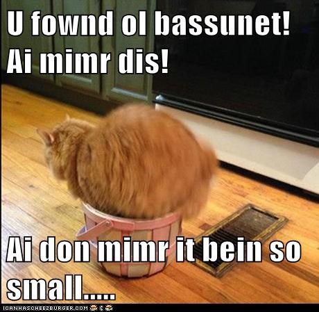 U fownd ol bassunet! Ai mimr dis!  Ai don mimr it bein so small.....