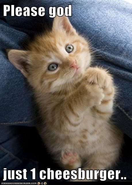 Please god  just 1 cheesburger..