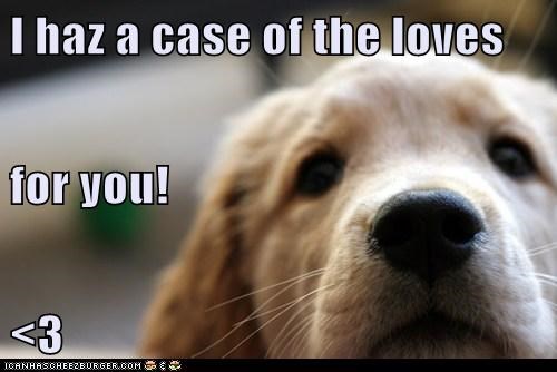 I haz a case of the loves  for you! <3