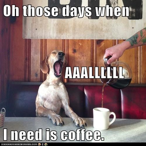 Oh those days when                      AAALLLLLL I need is coffee.