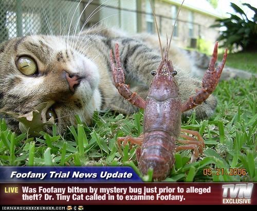 Foofany Trial News Update - Was Foofany bitten by mystery bug just prior to alleged theft? Dr. Tiny Cat called in to examine Foofany.
