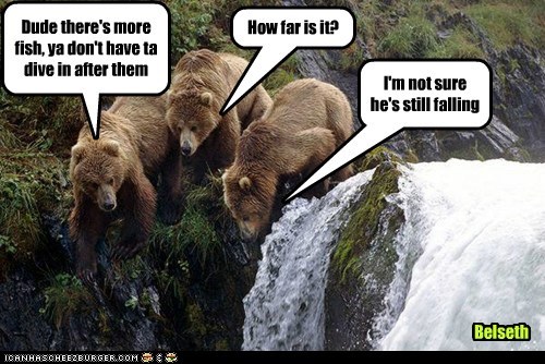 Dude there's more fish, ya don't have ta dive in after them
