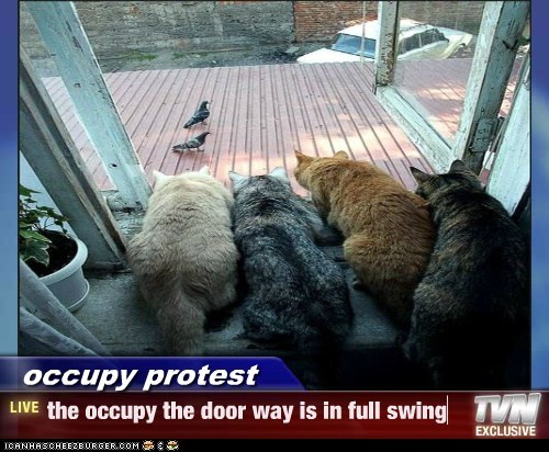 occupy protest - the occupy the door way is in full swing