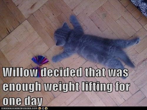 Willow decided that was enough weight lifting for one day