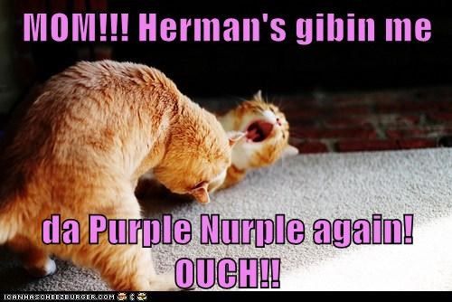 MOM!!! Herman's gibin me  da Purple Nurple again! OUCH!!