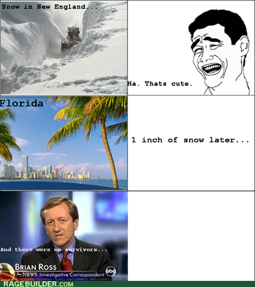 Snow Logic