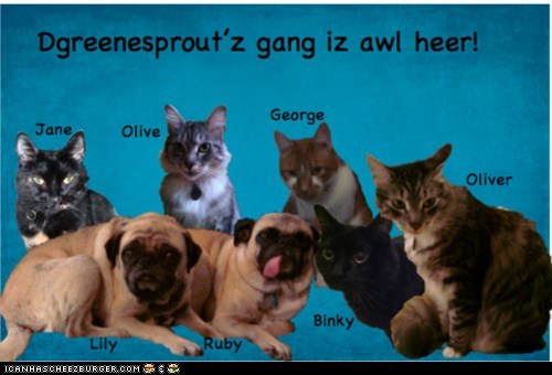 Da Gang'z Awl Heer