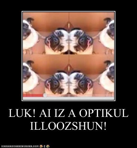 LUK! AI IZ A OPTIKUL ILLOOZSHUN!