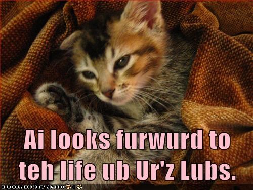Ai looks furwurd to teh life ub Ur'z Lubs.
