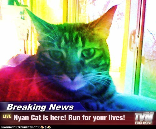 Breaking News - Nyan Cat is here! Run for your lives!