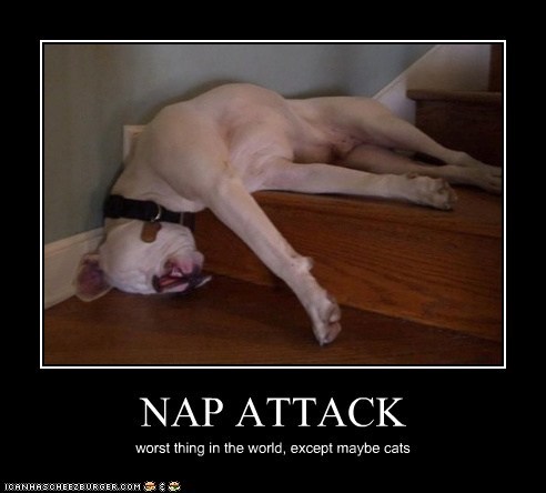 NAP ATTACK