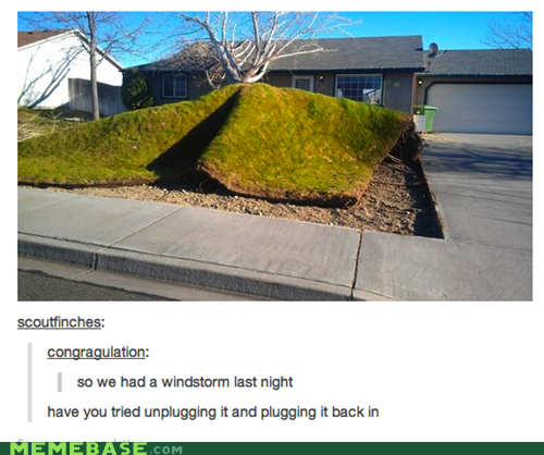 IT Lawn Care