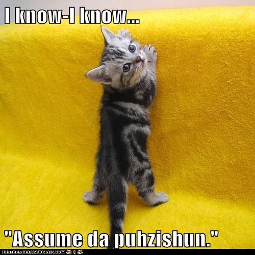 I know-I know...  "Assume da puhzishun."