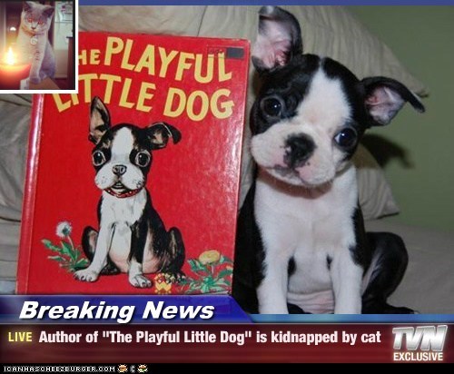 Breaking News - Author of "The Playful Little Dog" is kidnapped by cat