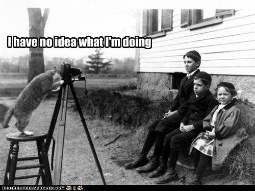 I have no idea what I'm doing