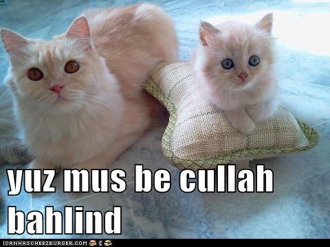 yuz mus be cullah bahlind