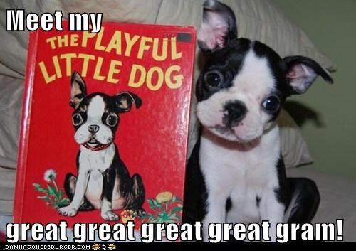 Meet my  great great great great gram!