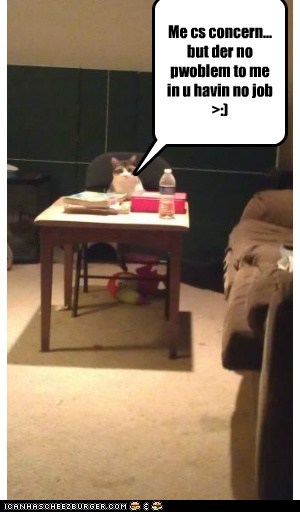 Big Boss Kitteh Haz Spoken!