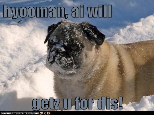 hyooman, ai will  getz u for dis!