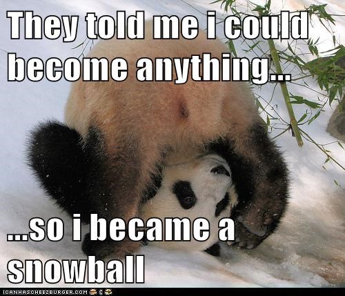 Soon, He'll Become an Avalanche