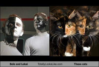 Bele and Lokai Totally Look Like These Cats