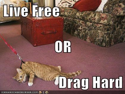 Live Free OR Drag Hard