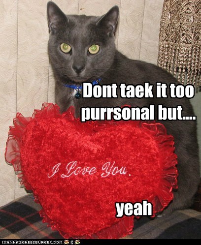 Kitteh grudgingly admits....