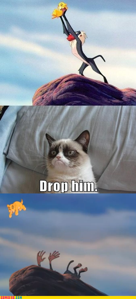 Reframe: Here's Something to Smile About, Grumpy Cat