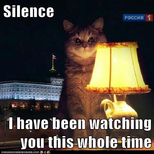 Silence  I have been watching you this whole time